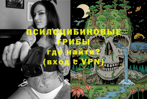 спайс Баксан
