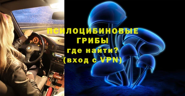 спайс Баксан