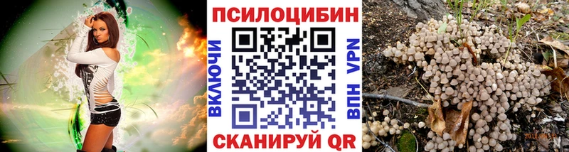 Галлюциногенные грибы GOLDEN TEACHER  Чехов 